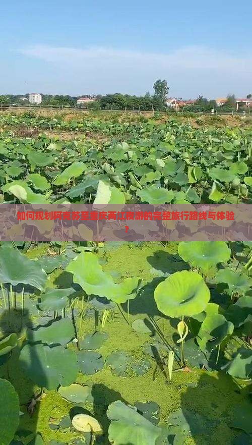 如何规划阿克苏至重庆两江夜游的完整旅行路线与体验？