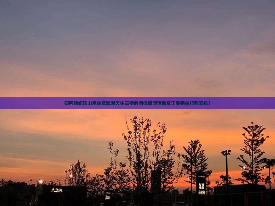 如何组织乐山至重庆武隆天生三桥的团体旅游活动及了解相关行程安排？