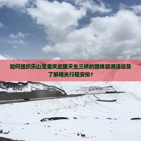 如何组织乐山至重庆武隆天生三桥的团体旅游活动及了解相关行程安排？