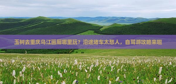 玉树去重庆乌江画廊哪里玩？沿途堵车太愁人，自驾游攻略来啦