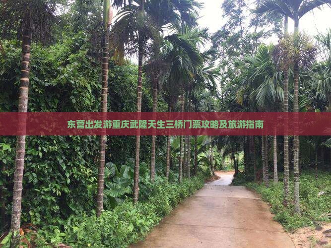 东营出发游重庆武隆天生三桥门票攻略及旅游指南