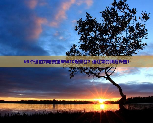 #3个理由为啥去重庆WFC观景台？通辽来的我超兴奋！