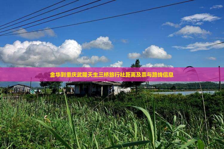 金华到重庆武隆天生三桥旅行社距离及票与路线信息