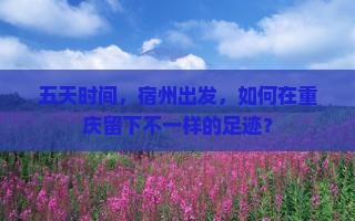 五天时间，宿州出发，如何在重庆留下不一样的足迹？