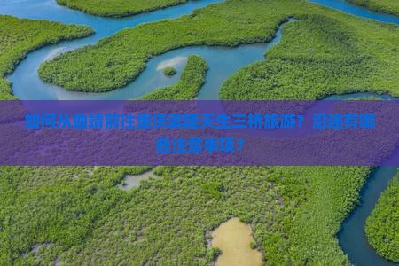 如何从曲靖前往重庆武隆天生三桥旅游？沿途有哪些注意事项？