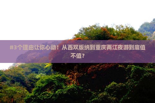 #3个理由让你心动！从西双版纳到重庆两江夜游到底值不值？
