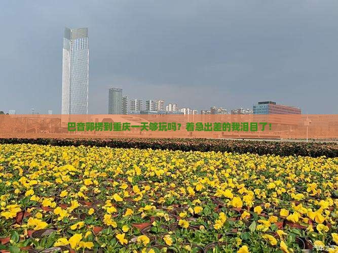 巴音郭楞到重庆一天够玩吗？着急出差的我泪目了！