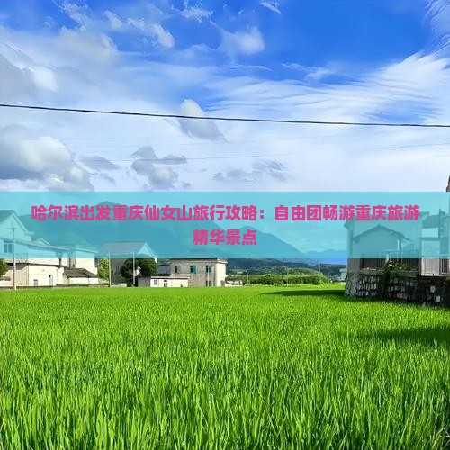 哈尔滨出发重庆仙女山旅行攻略：自由团畅游重庆旅游精华景点