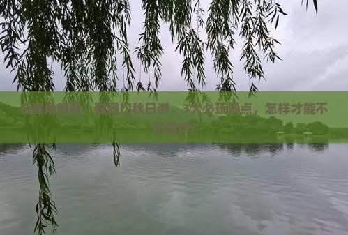 游客角度看！磁器口秋日游，3大必玩景点，怎样才能不留遗憾？