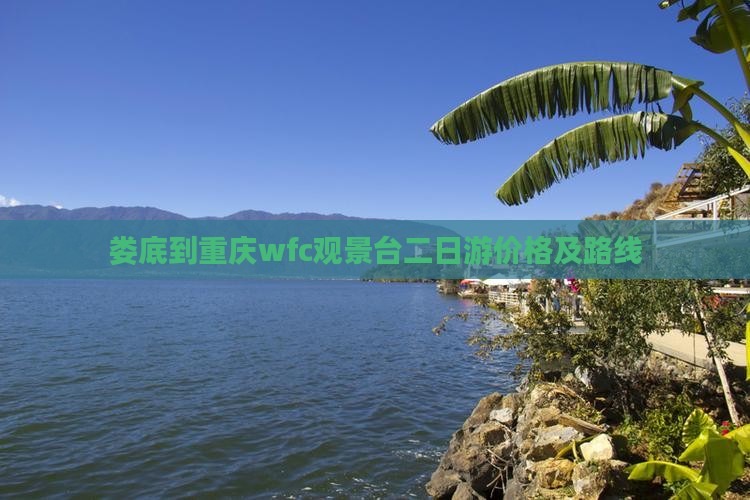娄底到重庆wfc观景台二日游价格及路线