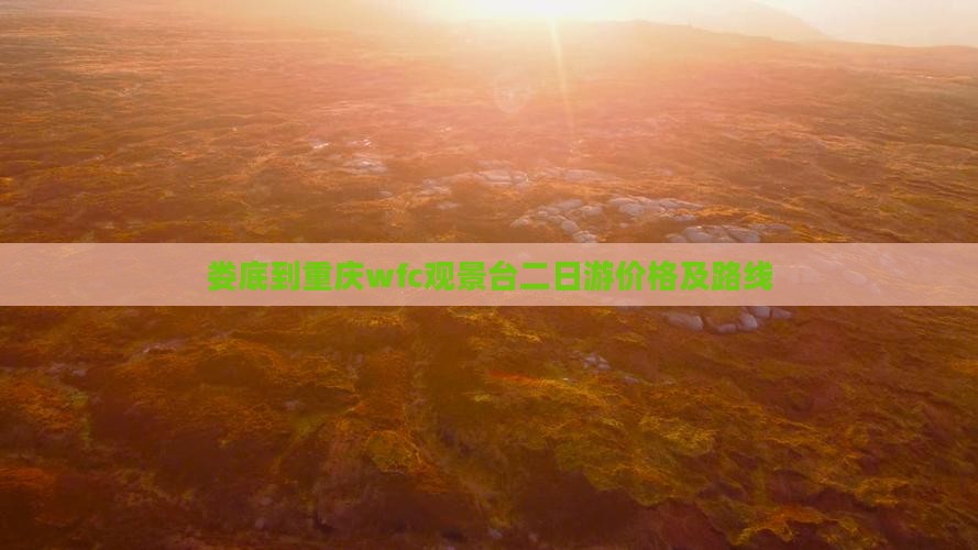 娄底到重庆wfc观景台二日游价格及路线