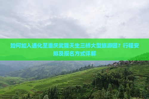 如何加入通化至重庆武隆天生三桥大型旅游团？行程安排及报名方式详解