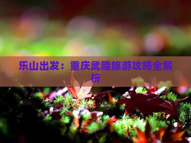 乐山出发：重庆武隆旅游攻略全解析