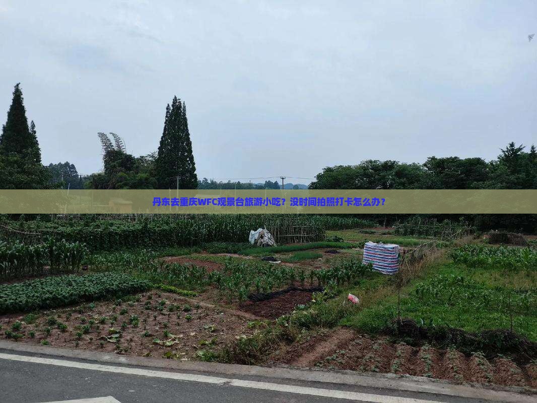 丹东去重庆WFC观景台旅游小吃？没时间拍照打卡怎么办？