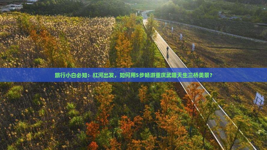 旅行小白必知：红河出发，如何用5步畅游重庆武隆天生三桥美景？