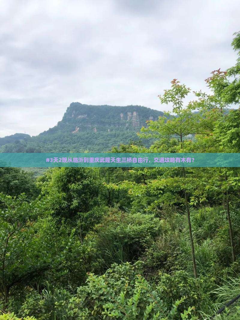 #3天2晚从临沂到重庆武隆天生三桥自由行，交通攻略有木有？