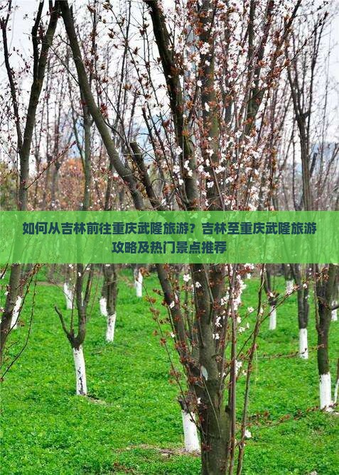 如何从吉林前往重庆武隆旅游？吉林至重庆武隆旅游攻略及热门景点推荐