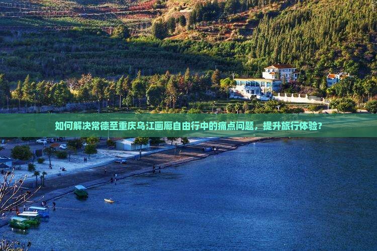 如何解决常德至重庆乌江画廊自由行中的痛点问题，提升旅行体验？