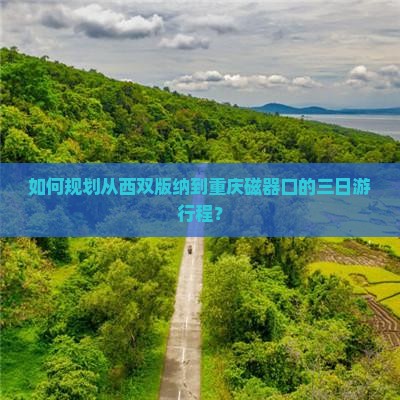 如何规划从西双版纳到重庆磁器口的三日游行程？