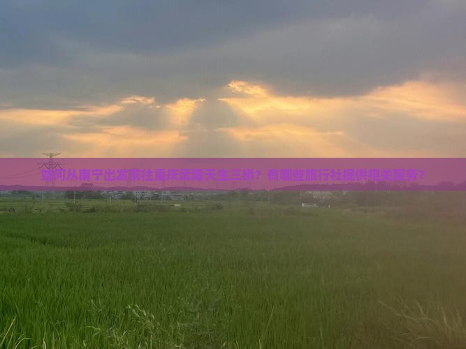 如何从南宁出发前往重庆武隆天生三桥？有哪些旅行社提供相关服务？