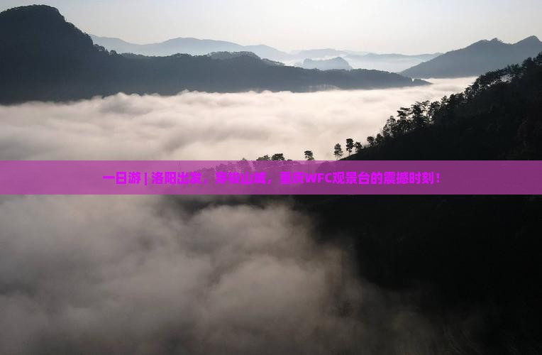 一日游 | 洛阳出发，穿梭山城，重庆WFC观景台的震撼时刻！
