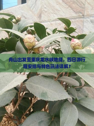 舟山出发至重庆龙水峡地缝，四日游行程安排与特色玩法详解？