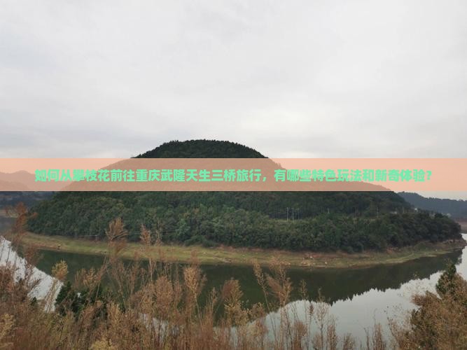 如何从攀枝花前往重庆武隆天生三桥旅行，有哪些特色玩法和新奇体验？