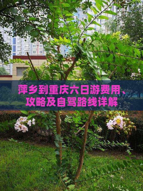 萍乡到重庆六日游费用、攻略及自驾路线详解
