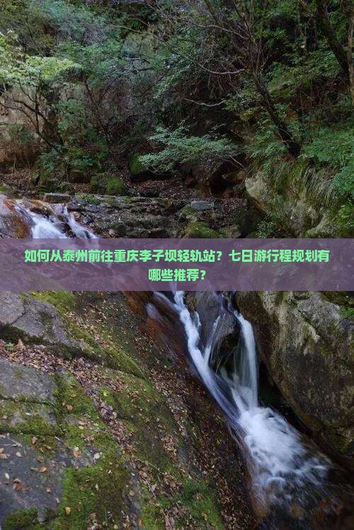 如何从泰州前往重庆李子坝轻轨站？七日游行程规划有哪些推荐？