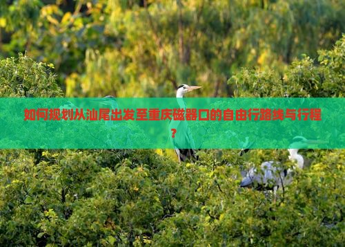 如何规划从汕尾出发至重庆磁器口的自由行路线与行程？