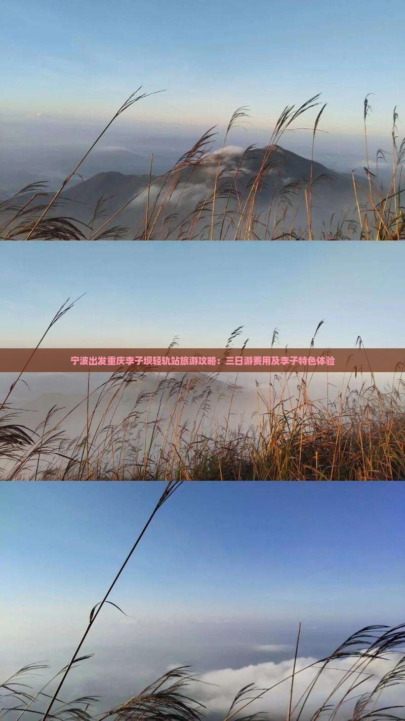 宁波出发重庆李子坝轻轨站旅游攻略：三日游费用及李子特色体验