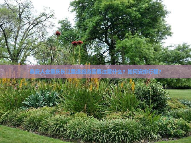 泰安人去重庆长江索道旅游需要注意什么？如何安排行程？