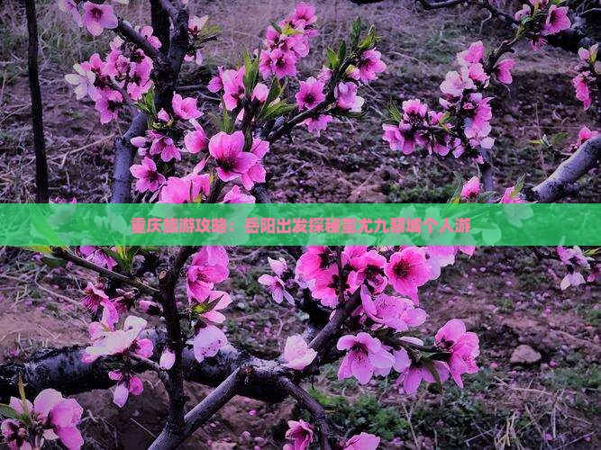 重庆旅游攻略：岳阳出发探秘蚩尤九黎城个人游
