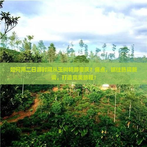 如何用二日游时间从玉树畅游重庆？痛点，抓住热词新词，打造完美旅程！