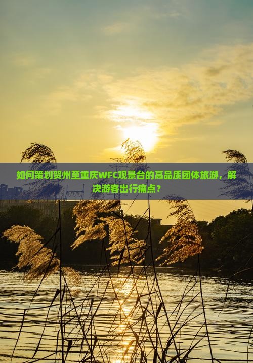 如何策划贺州至重庆WFC观景台的高品质团体旅游，解决游客出行痛点？