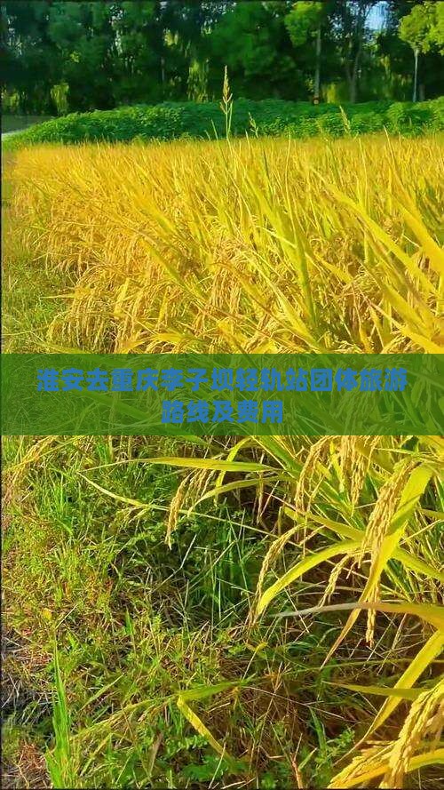 淮安去重庆李子坝轻轨站团体旅游路线及费用