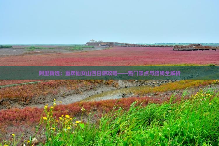 阿里精选：重庆仙女山四日游攻略——热门景点与路线全解析