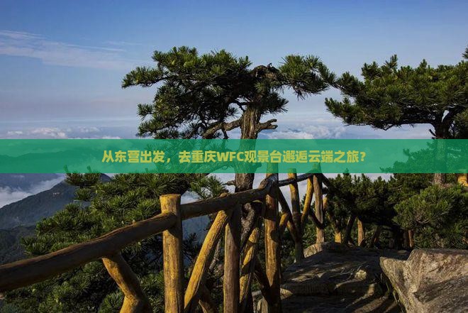 从东营出发，去重庆WFC观景台邂逅云端之旅？
