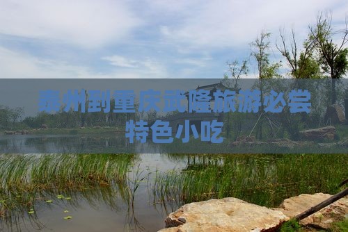 泰州到重庆武隆旅游必尝特色小吃