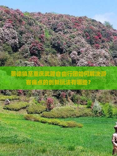 景德镇至重庆武隆自由行团如何解决游客痛点的创新玩法有哪些？