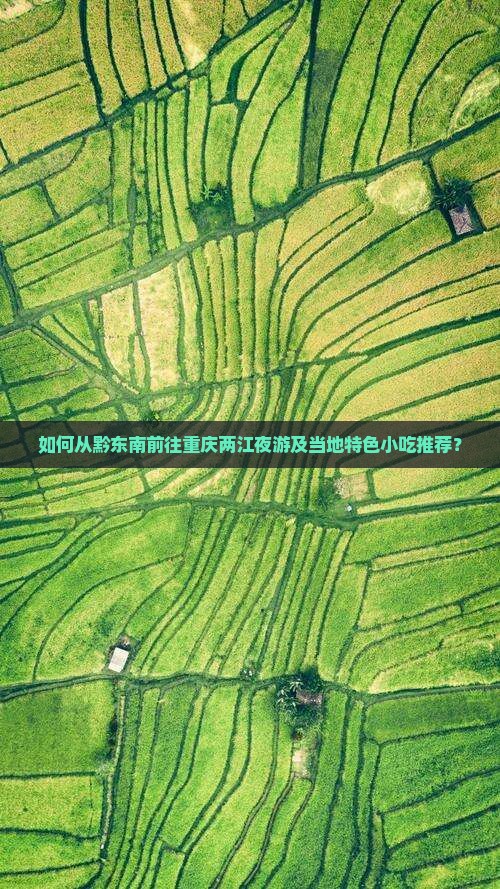 如何从黔东南前往重庆两江夜游及当地特色小吃推荐？