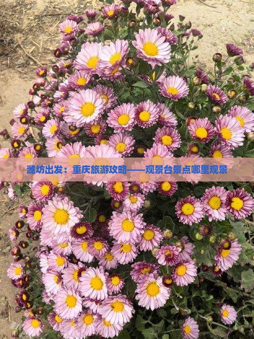 潍坊出发：重庆旅游攻略——观景台景点哪里观景