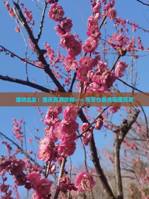 潍坊出发：重庆旅游攻略——观景台景点哪里观景
