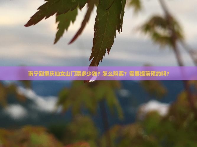南宁到重庆仙女山门票多少钱？怎么购买？需要提前预约吗？