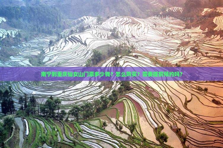 南宁到重庆仙女山门票多少钱？怎么购买？需要提前预约吗？