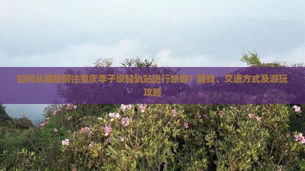 如何从醴陵前往重庆李子坝轻轨站进行旅游？路线、交通方式及游玩攻略