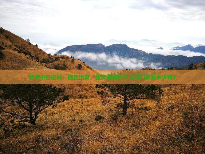 旅游小白必问：商丘出发，重庆武隆天生三桥门票要多少钱？
