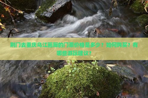 荆门去重庆乌江画廊的门票价格是多少？如何购买？有哪些游玩建议？
