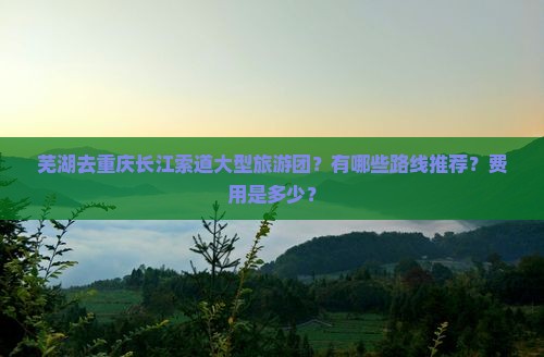 芜湖去重庆长江索道大型旅游团？有哪些路线推荐？费用是多少？