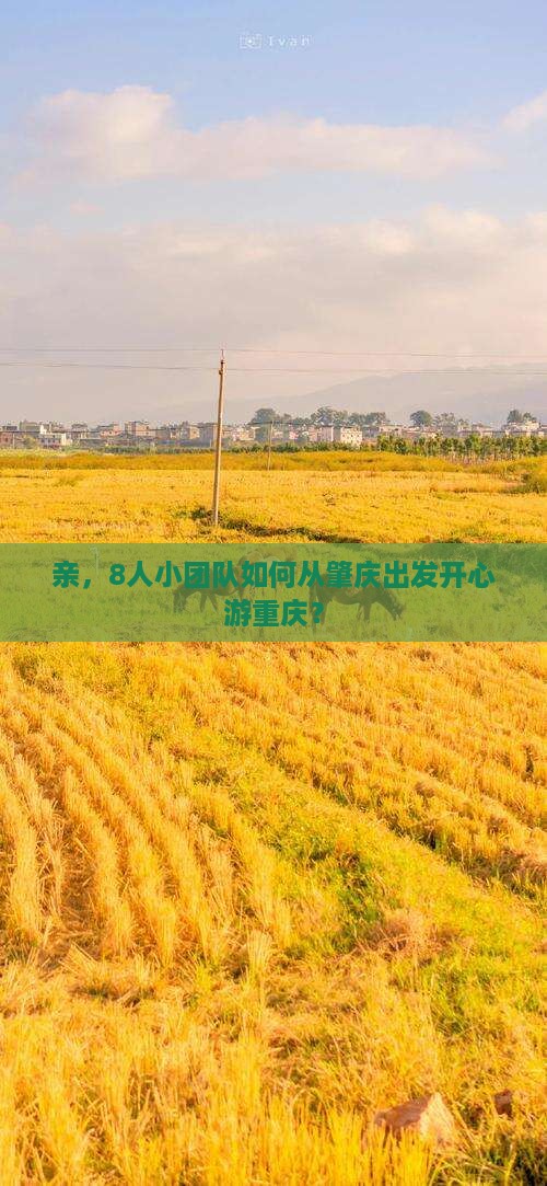 亲，8人小团队如何从肇庆出发开心游重庆？